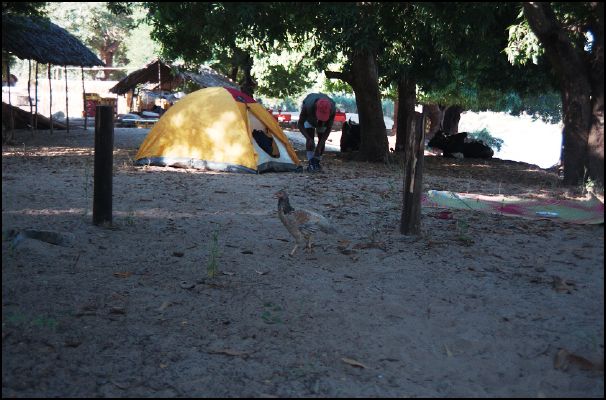 Bekopaka Camp Site