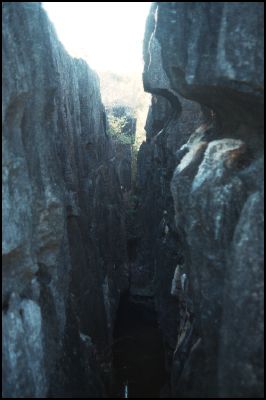 Tsingy de Bemaraha