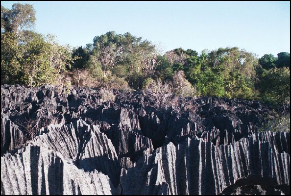 Tsingy de Bemaraha