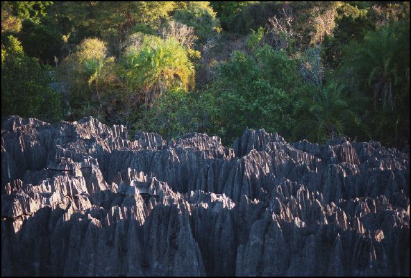 Tsingy de Bemaraha