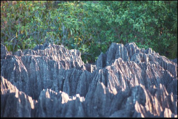 Tsingy de Bemaraha