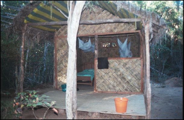 Cabine in the 'Swiss Forest'