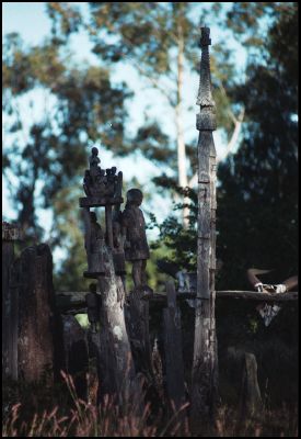 Tomb near Taolaganaro