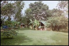 We stayed in these nice bandas in the beginning and at the end of our holiday -  62 KB